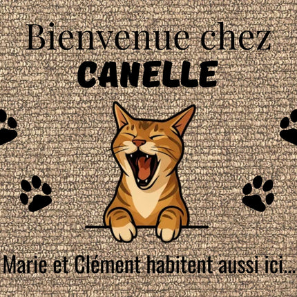 texture 4725x2950 option 2