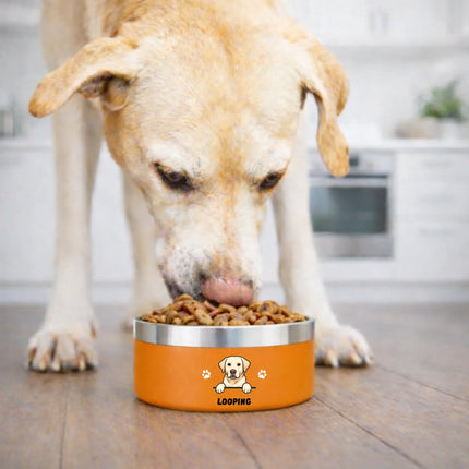 bol & chien_orange
