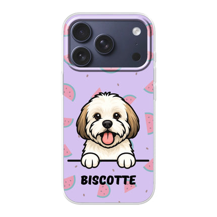 iPhone 18 Pro