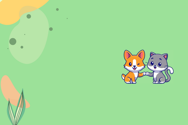 <h1>Des <span style="text-decoration:underline">créations uniques</span> pour vos meilleurs amis à quatre pattes </h1>